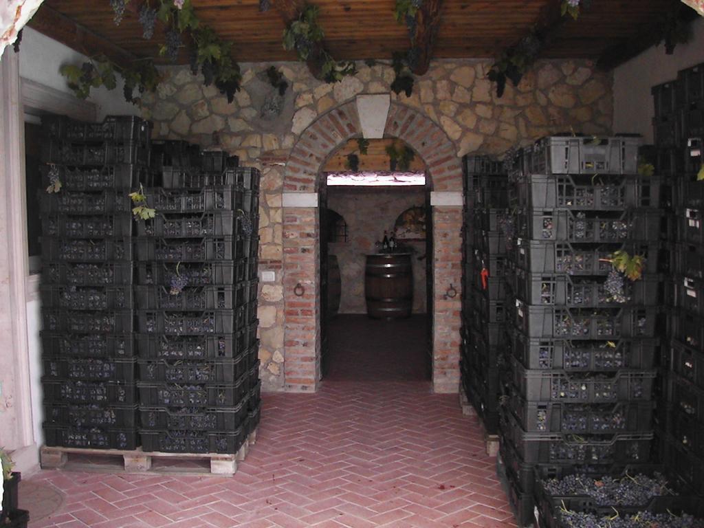 B&B Al Cristo SantʼAmbrogio di Valpolicella Екстериор снимка