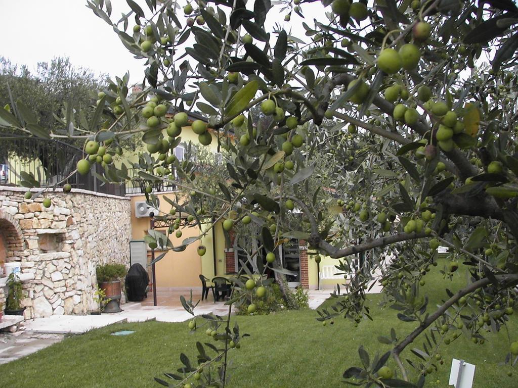 B&B Al Cristo SantʼAmbrogio di Valpolicella Екстериор снимка