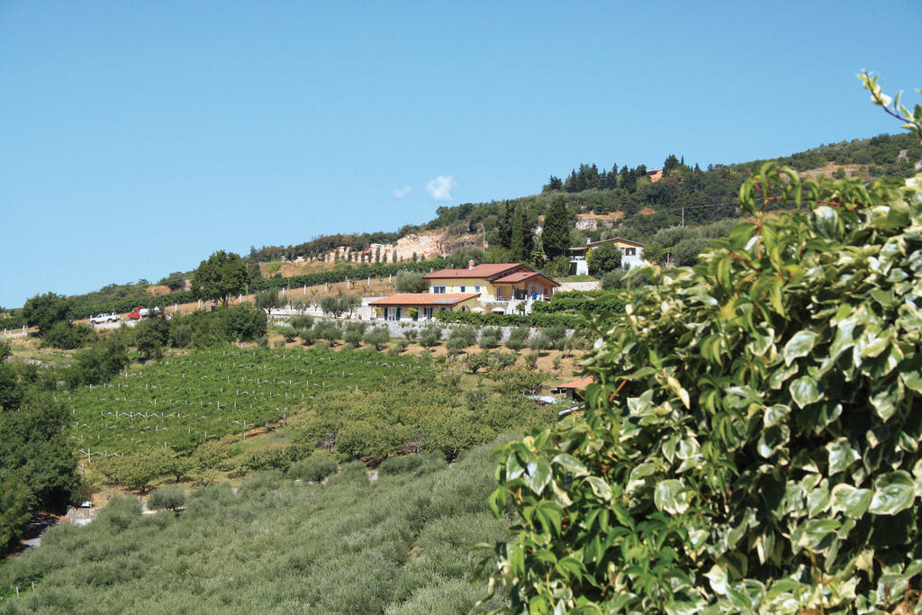 B&B Al Cristo SantʼAmbrogio di Valpolicella Екстериор снимка