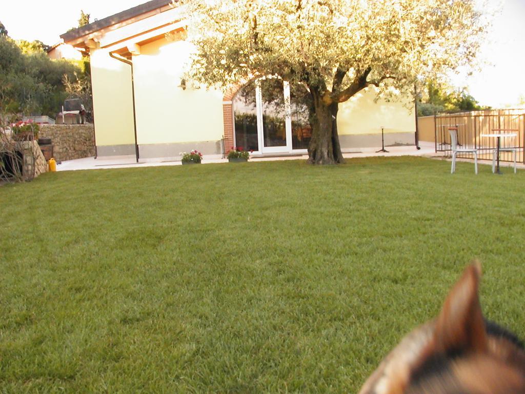 B&B Al Cristo SantʼAmbrogio di Valpolicella Екстериор снимка